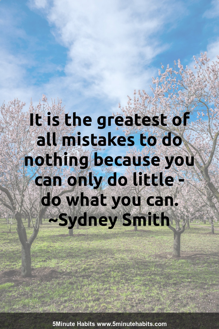 It is the greatest of all mistakes to do nothing because you can only do little - do what you can. ~Sydney Smith